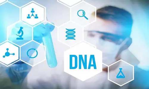 绥化个人亲子鉴定如何做,绥化个人DNA亲子鉴定流程有哪几种