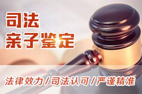 绥化司法DNA鉴定流程是什么,绥化司法DNA亲子鉴定需要如何做